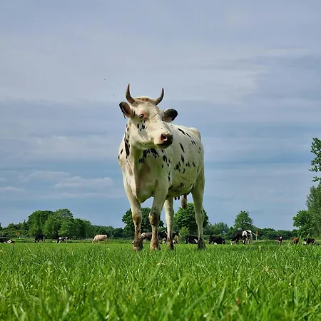 Alte Backhaus Auf Dem Bio-bauernhof