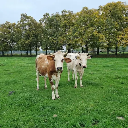 Alte Backhaus Auf Dem Bio-bauernhof *