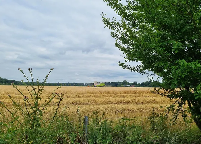 Alte Backhaus Auf Dem Bio-bauernhof * ケーヴェラアー