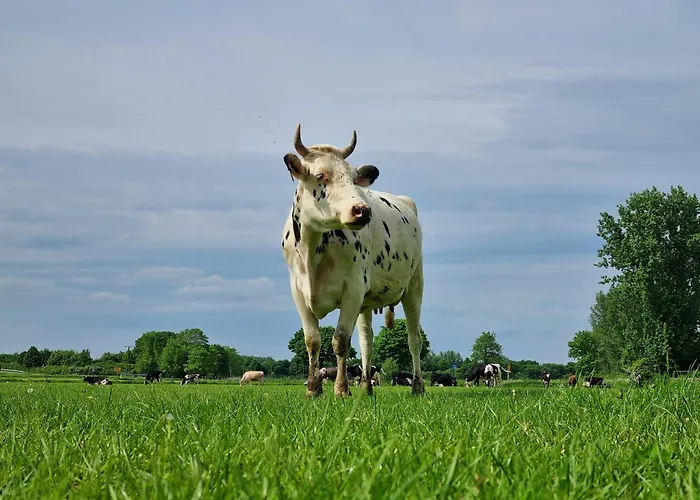 Alte Backhaus Auf Dem Bio-bauernhof