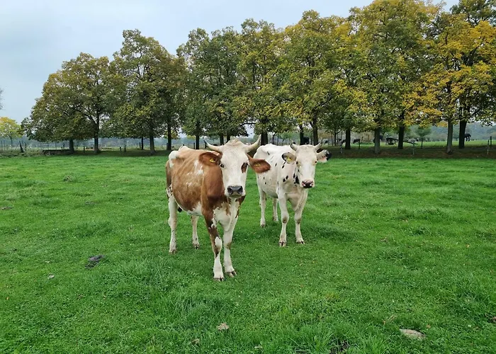 Alte Backhaus Auf Dem Bio-bauernhof *